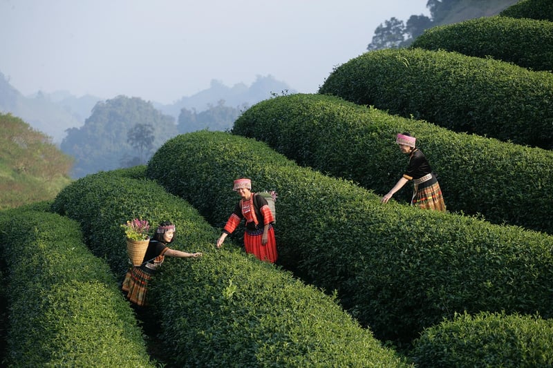 Experience Technological Marvels